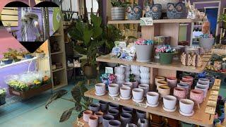 Uncommon And Common Houseplant Shopping @ThePeacockCottage