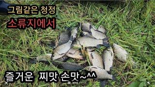 토종터에서의 즐거운 하룻밤낚시