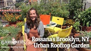 Rossana's Brooklyn NY Urban Rooftop Garden - Gardener's Supply Co