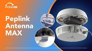 Eliminate Cable Loss With the Peplink Antenna MAX