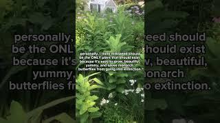 jokes aside, monarch extinction in the next 20 years is REAL. Plant milkweed, save our monarchs! 