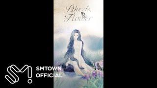 IRENE 아이린 'Like A Flower' Hint Clip