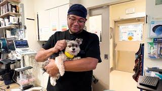 Why Leo Loves Being a Veterinary Assistant at AMC