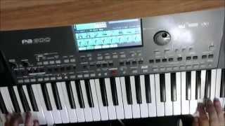 Демонстрация стиля Korg PA600 (Style Korg PA600)