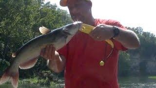 Catch a Channel Catfish in 4 MINUTES or less!