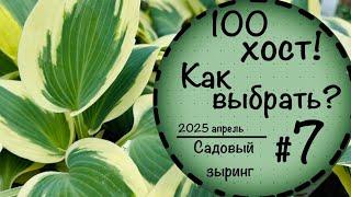 Садовый зыринг #7 ️Вы удивитесь какие бывают хосты️ 100 сортов хостов️