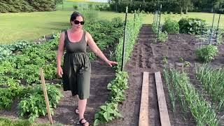 Garden with me in Zone 3 Alberta Tour 2 2024