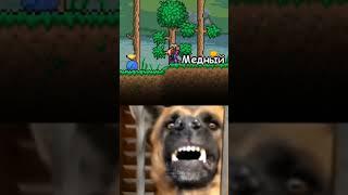 #shorts #terraria #meme #террария #dog #animals