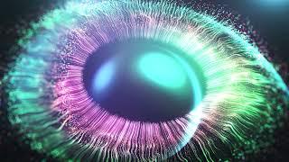SI REPROGRAMAS TU MENTE ¡TU VIDA CAMBIARÁ! Hackea tu mente con HIPNOHACKING