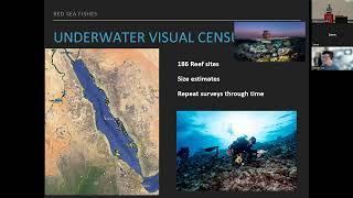 Reef fish communities in the Red Sea - ERI Seminar - February 2023