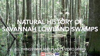 Natural History of Savannah Lowland Swamps