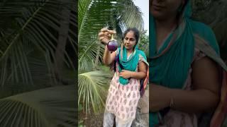 Gujarati Mani vlog Village life #manivlogs #shortvideos #villagelife #shorts