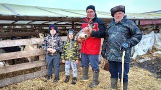 Familia Răboj - trei generații de crescători de oi și capre din rase românești