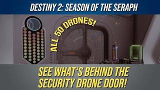 HUGE Destiny 2 Easter Egg Revealed! This is behind the "50 Security Drones Door" at Seraph Station!