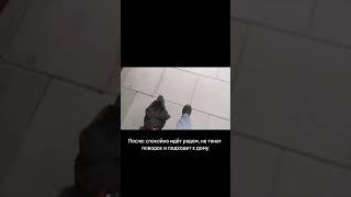 До: тянет поводок, не хочет идти домой. Результаты обучения в Школе Антуана Наджаряна