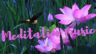 Meditation music - Music for meditation - Sounds for meditation