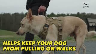 Team K9 No-Pull Dog Harness