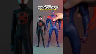 Size Comparison: Hot Toys Marvel Spider-Man Across the Spider-Verse - Miles Morales #spiderman