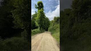 Doğa bizi çağırıyor. Ruhunu dinle 