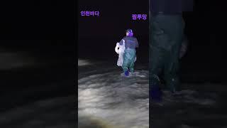 서해바다 짬투망가요 #shorts #cast #fishing #밤투망 #서해바다#추억의노래