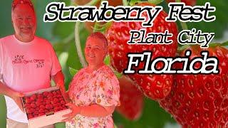 Florida Strawberry  Festival  | ￼ Fresh Donut  W/ Chocolate  , Strawberries & Whipped Cream