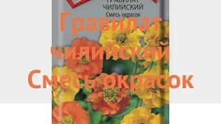 Гравилат чилийский Смесь окрасок (smes okrasok)  обзор: как сажать, семена гравилата Смесь окрасок