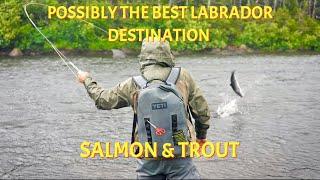 Possibly the Best Labrador Destination for Salmon & Trout Fishing | 90 Minute Documentary