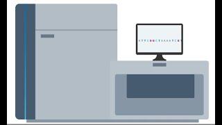 Whole genome sequencing: From sample to report