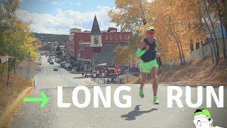 Marathon Training plan: the final Long Run