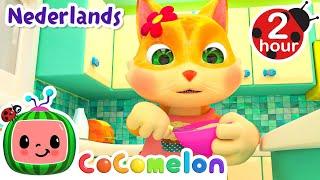 Poesjes bakken | CoComelon Nederlands - Kinderliedjes