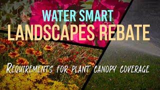  SNWA Water Smart Landscapes Rebate: Mastering the Plant Canopy Requirement! 