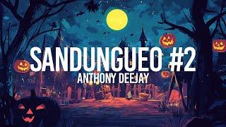 Sandungueo Mix #2 2024 sin sello