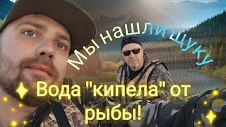 В краю щук и окуней на спиннинг. Вы такого еще не видели, вода кипела от окуня.