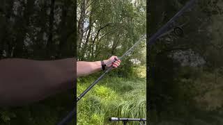 Кращі Бюджетні Коропові Вудилища Флагман Flagman Magnum Black Carp 3,6 м 3,25 LB 3-х складові