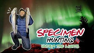 Specimen Hunting Under The Northern Lights In Norway | Fishing With Wayne