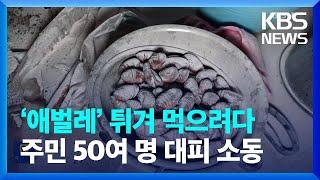 ‘애벌레’ 튀겨 먹으려다…주민 50여 명 대피 소동 [잇슈 키워드] / KBS  2023.05.25.