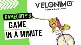 Game in a Minute: Velonimo