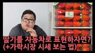 가락시장 시세보는 방법과 딸기팩의 구성, 맛있는 딸기 고르는 법