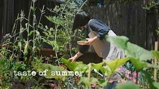 Taste of Summer｜Backyard Garden Work & Harvest｜Asian Zucchini Noodles