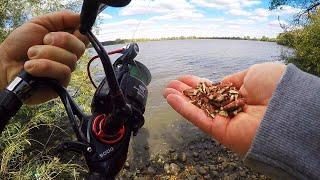 NEW Carp Bait Ingredient Catches BIG Fish! (Fall Carp Fishing)