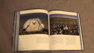 ASMR - Page turning - #45 - Arctic Book - no talking