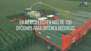 ¿Qué son los Fondos Perdidos / Subsidios Federales? - CAYSO Asesores de Negocios