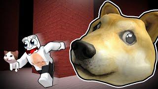 Can I ESCAPE Dogeheads with Popcat?!