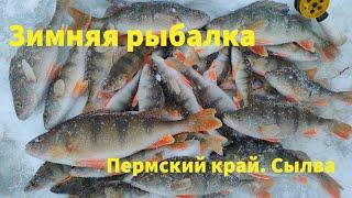Рыбалка в глухозимье. Ловля окуня на р.Сылве. Пермский край