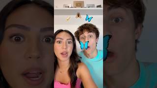 BUTTER  FLY 🪰 BUTTERFLY  TIKTOK FILTER!