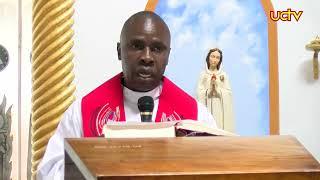 UCTV Daily Readings & Reflections | Rev. Fr. Stephen Ssenkubuge |SATURDAY 28TH DECEMBER 2024