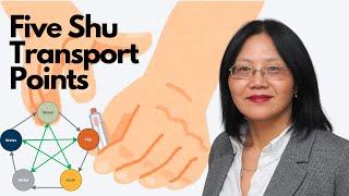 How to select acupuncture points of the Five Shu Transport Points?【TCM FOUNDATIONS COURSE 4.3】