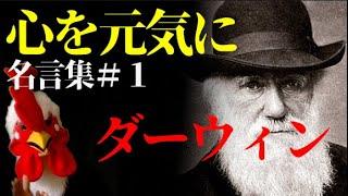 ダーウィンが言っている！？今後の人類の生き方！【心を元気に！名言集＃１】