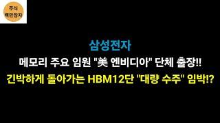 삼성전자 메모리 주요 임원 "美 엔비디아" 단체 출장!! 더 많은 HBM 필요해진 엔비디아 대량 공급!?