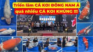 Asean Koi Show, Triển lãm CÁ KOI ĐÔNG NAM Á, có quá nhiều CÁ KOI KHỦNG !!!